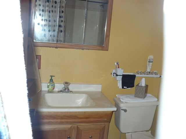 18430 East Twombly Road Rochelle, IL 61068 - Photo 15 of 25 a bathroom with a sink and a mirror