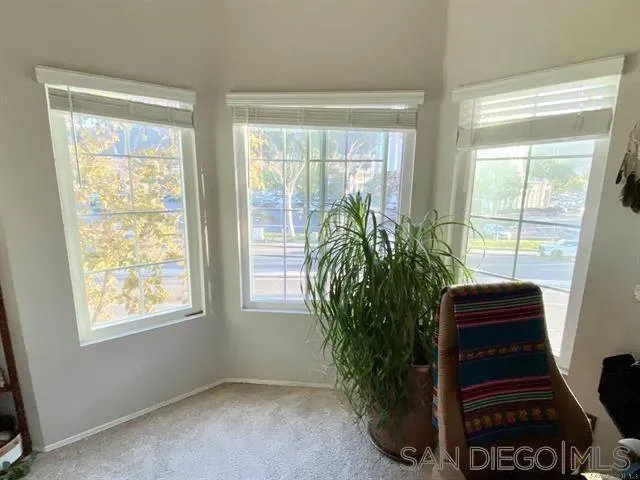 a view of a entryway with wooden floor and a potted plant