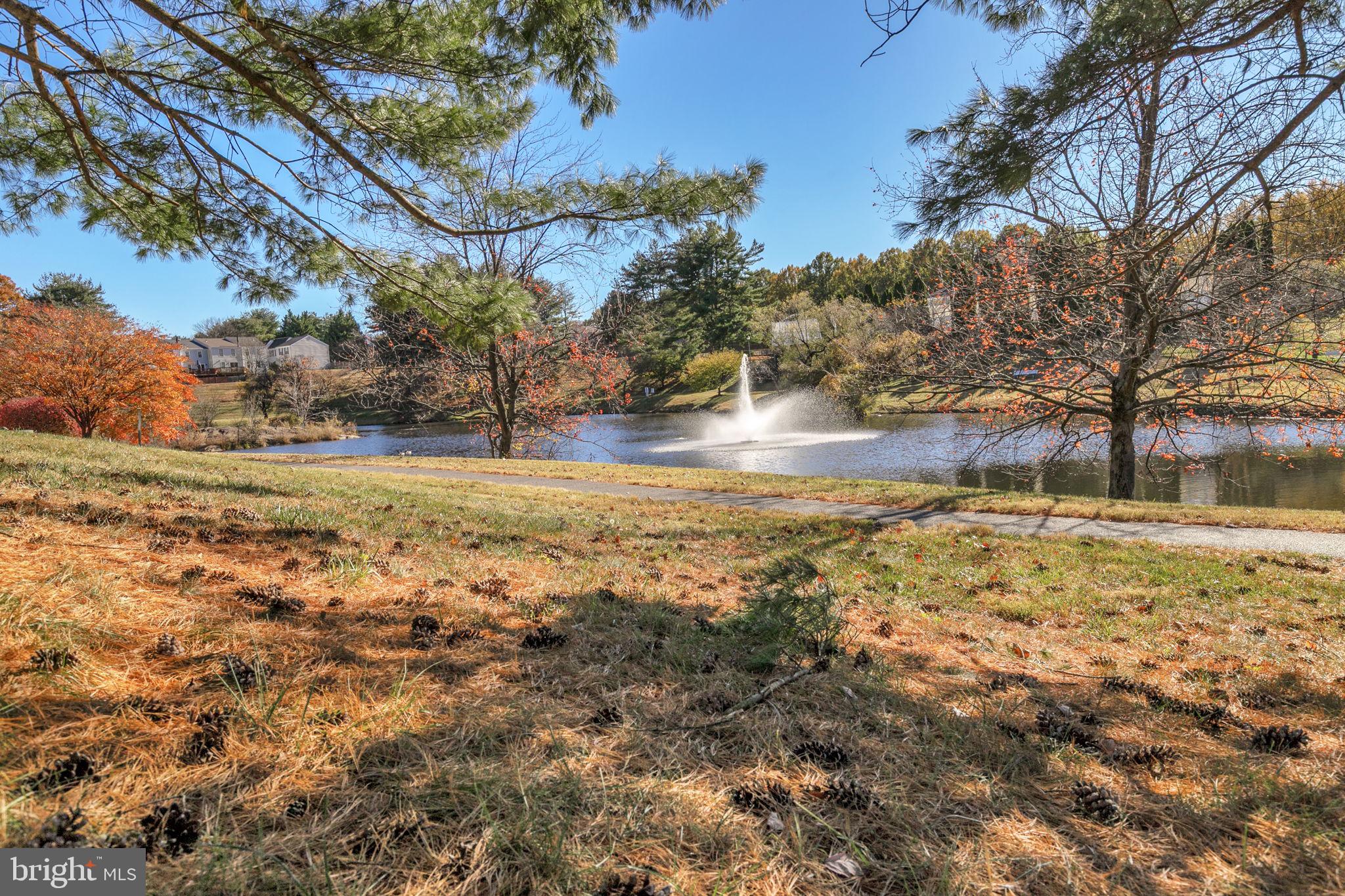 9 Joshua Tree Court Gaithersburg, MD 20878 - Photo 60 of 63 a view of yard with large trees