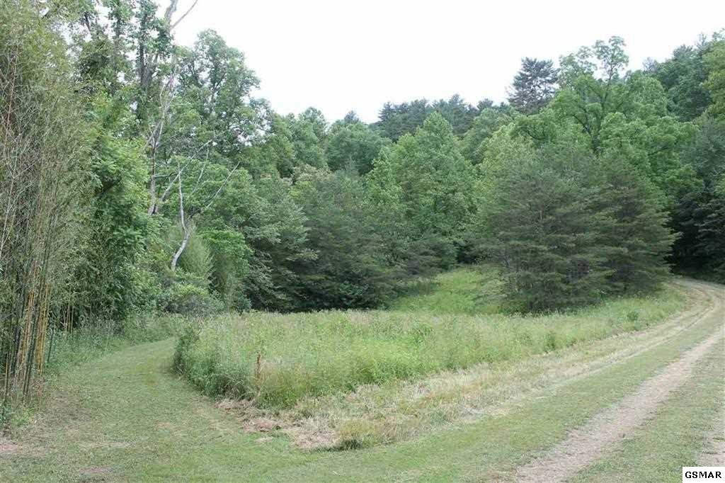 4639 Raven Branch Road Del Rio, TN 37727 - Photo 12 of 36
