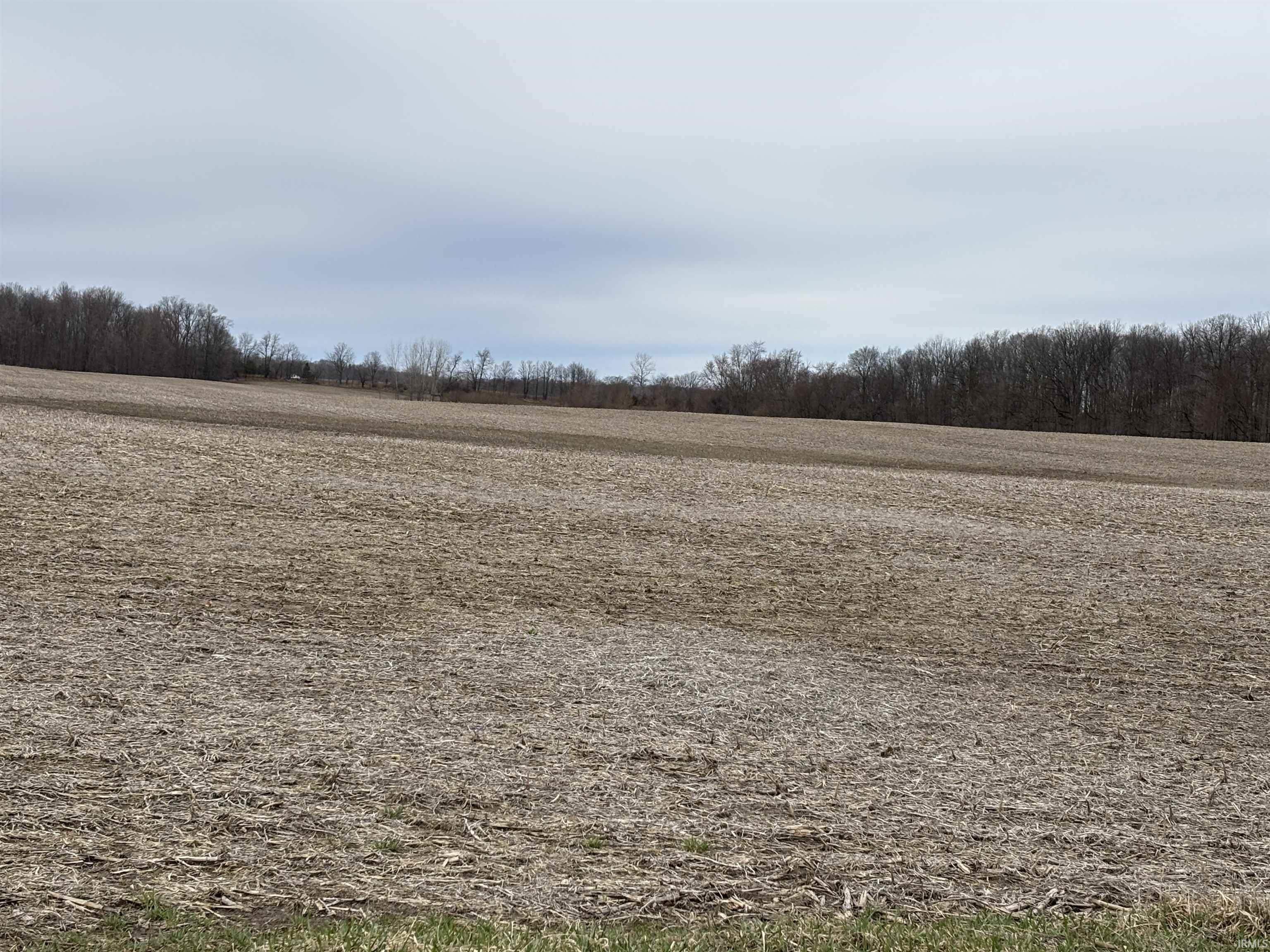 0 County Road 23 Waterloo, IN 46793 - Photo 4 of 4