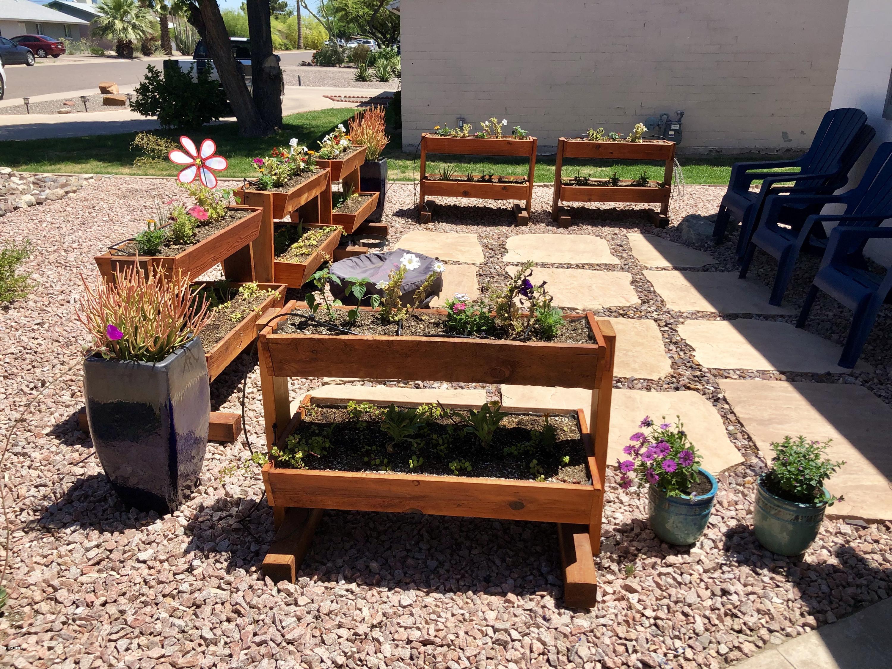 4831 East Coronado Road Phoenix, AZ 85008 - Photo 3 of 19 PLANTER PATIO