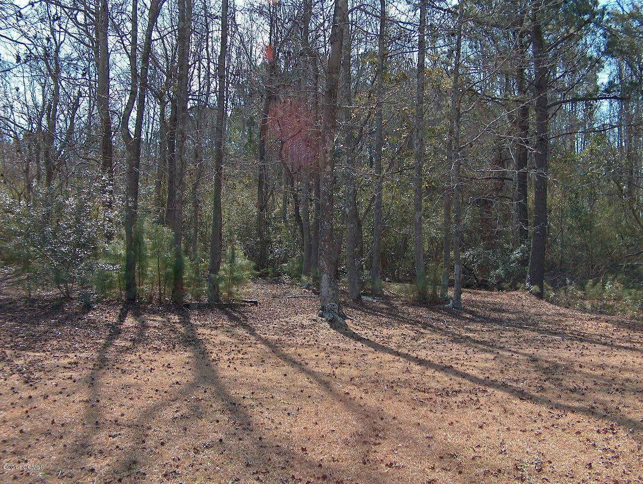 111 Riverside Drive Beaufort, NC 28516 - Photo 8 of 10 YARD