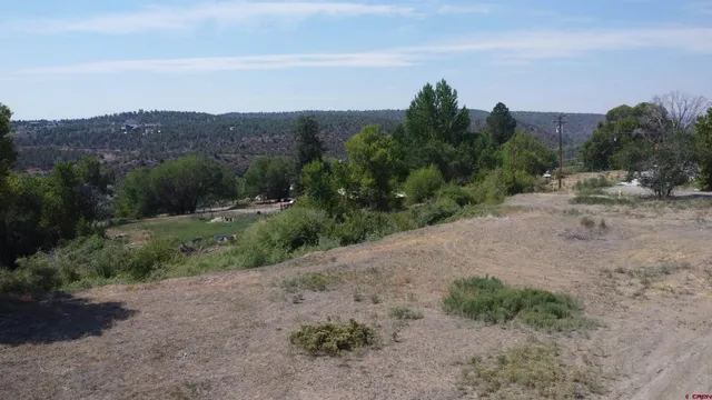 a view of a dry field with mountains in background
