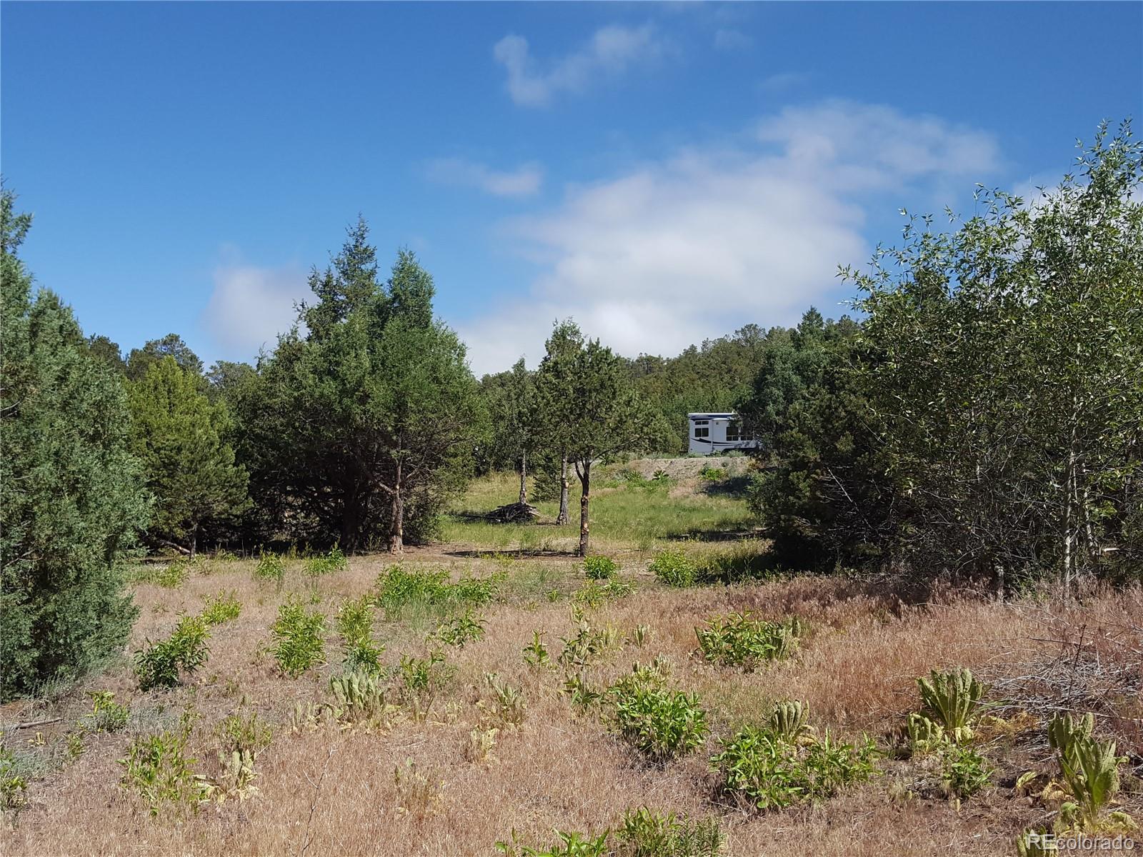 0 Knotty Pine Road Howard, CO 81233 - Photo 11 of 35 Gallery Image 11