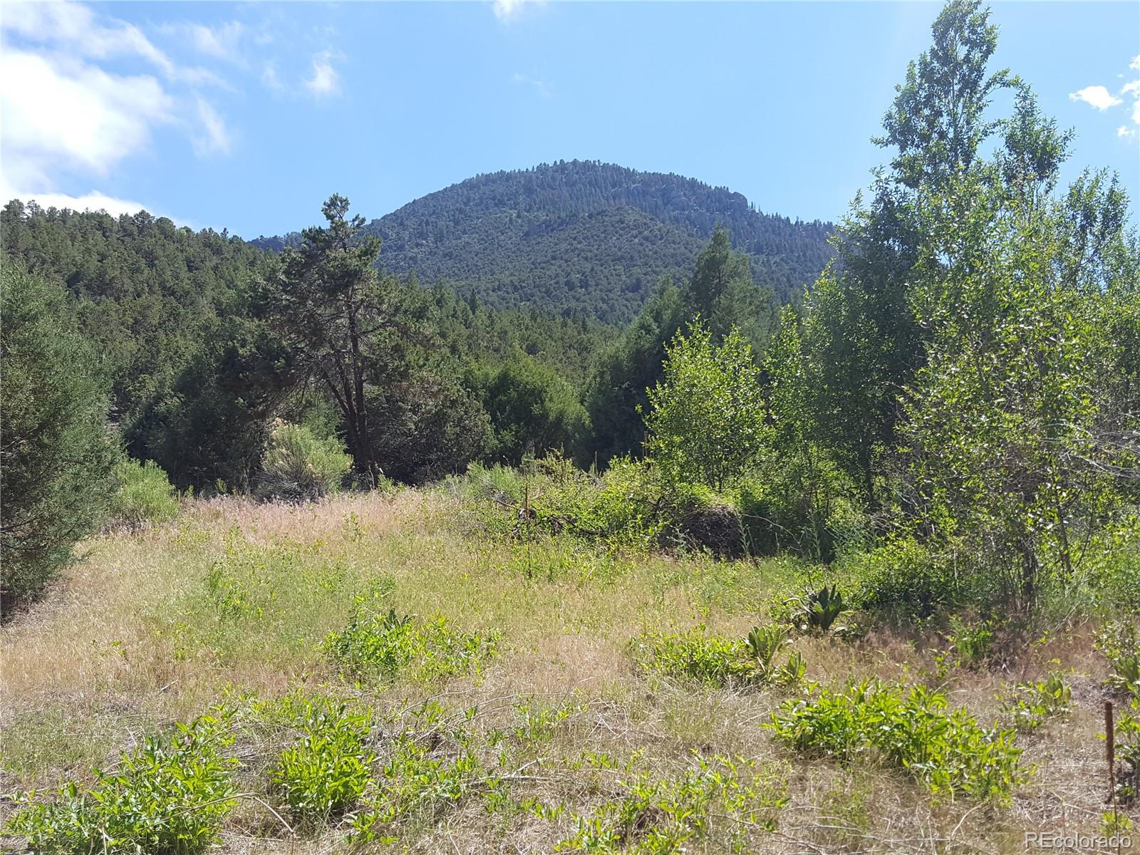0 Knotty Pine Road Howard, CO 81233 - Photo 12 of 35 Gallery Image 12