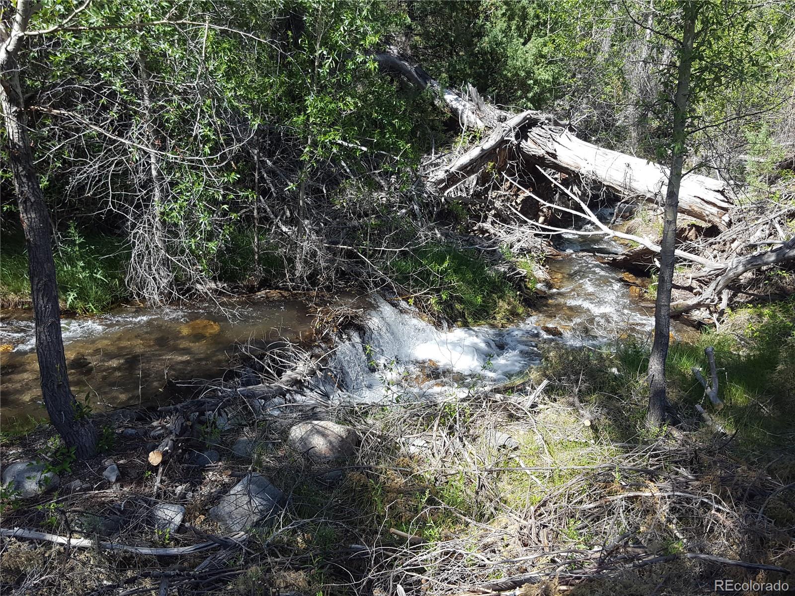 0 Knotty Pine Road Howard, CO 81233 - Photo 13 of 35 Gallery Image 13