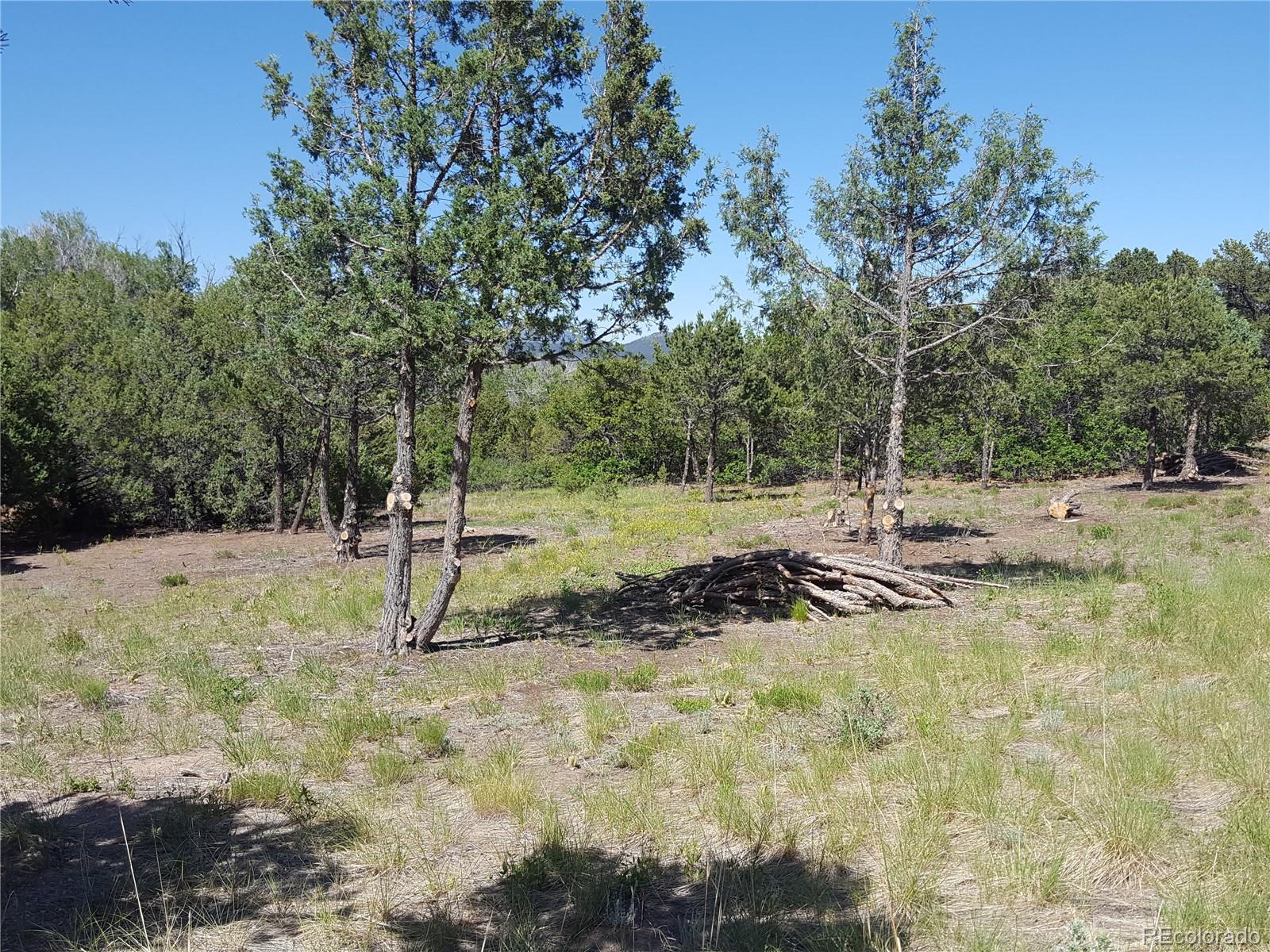 0 Knotty Pine Road Howard, CO 81233 - Photo 15 of 35 Gallery Image 15