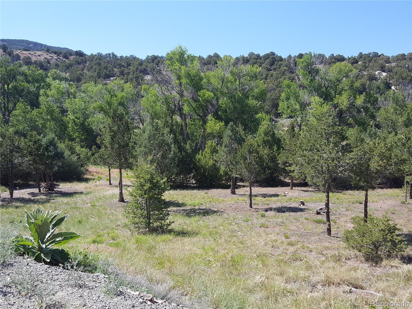 0 Knotty Pine Road Howard, CO 81233 - Photo 16 of 35 Gallery Image 16