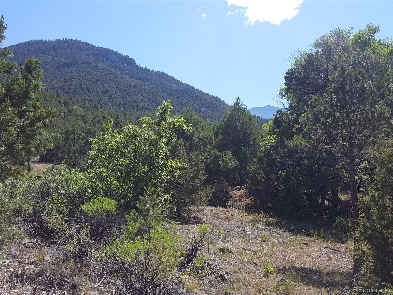 0 Knotty Pine Road Howard, CO 81233 - Photo 18 of 35 Gallery Image 18