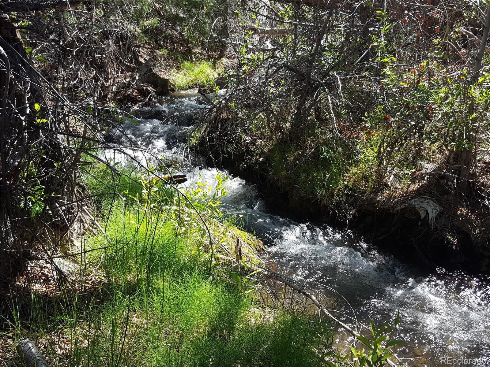 0 Knotty Pine Road Howard, CO 81233 - Photo 19 of 35 Gallery Image 19
