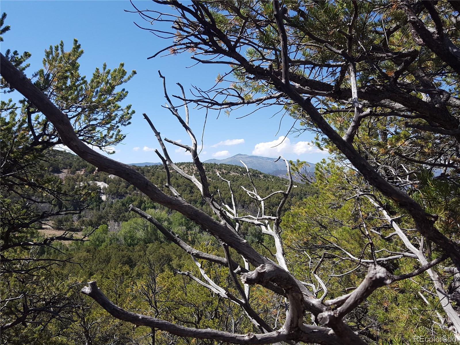 0 Knotty Pine Road Howard, CO 81233 - Photo 22 of 35 Gallery Image 22
