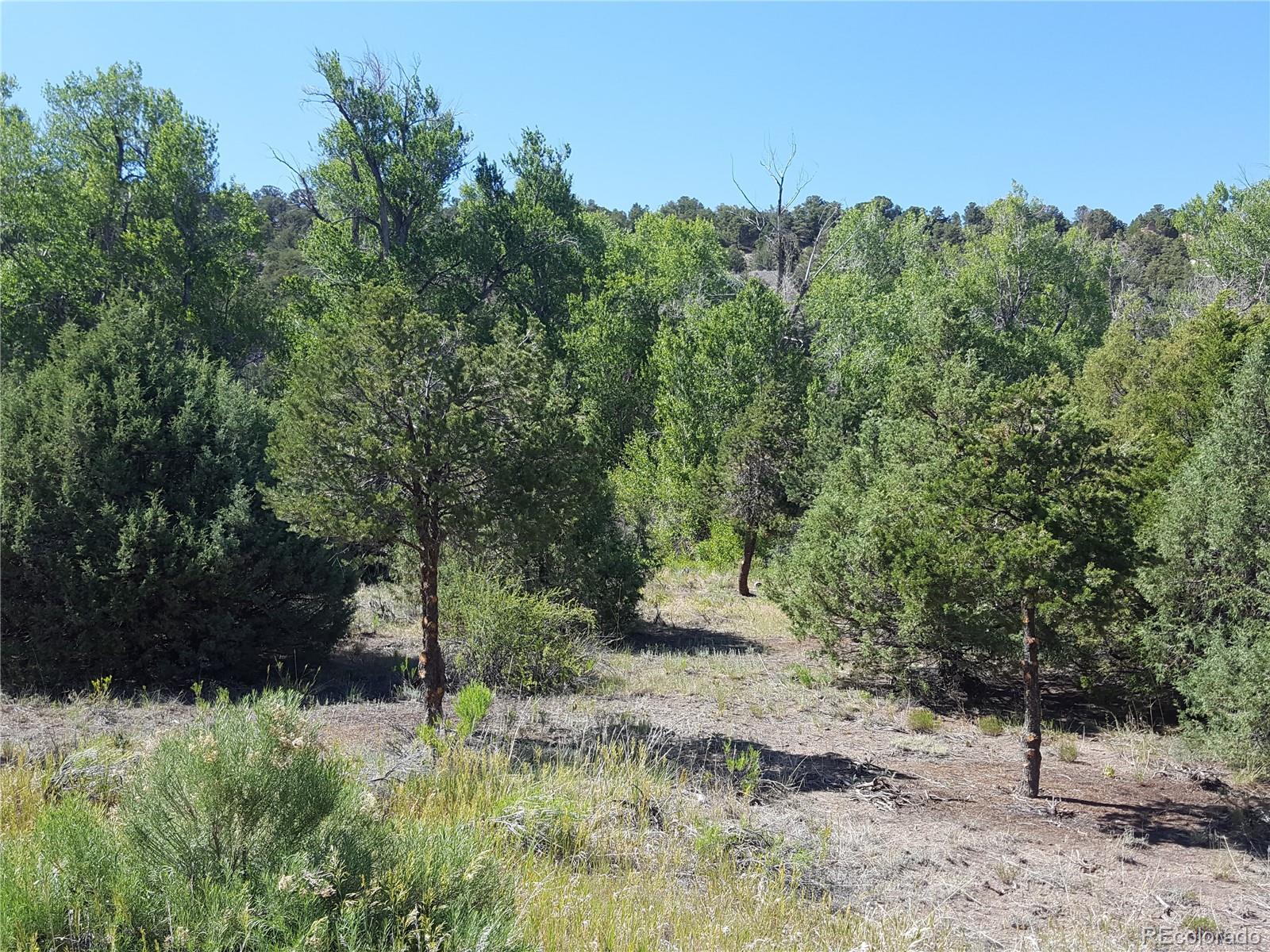 0 Knotty Pine Road Howard, CO 81233 - Photo 29 of 35 Gallery Image 29