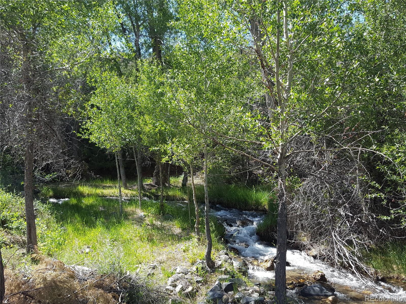 0 Knotty Pine Road Howard, CO 81233 - Photo 3 of 35 Gallery Image 3