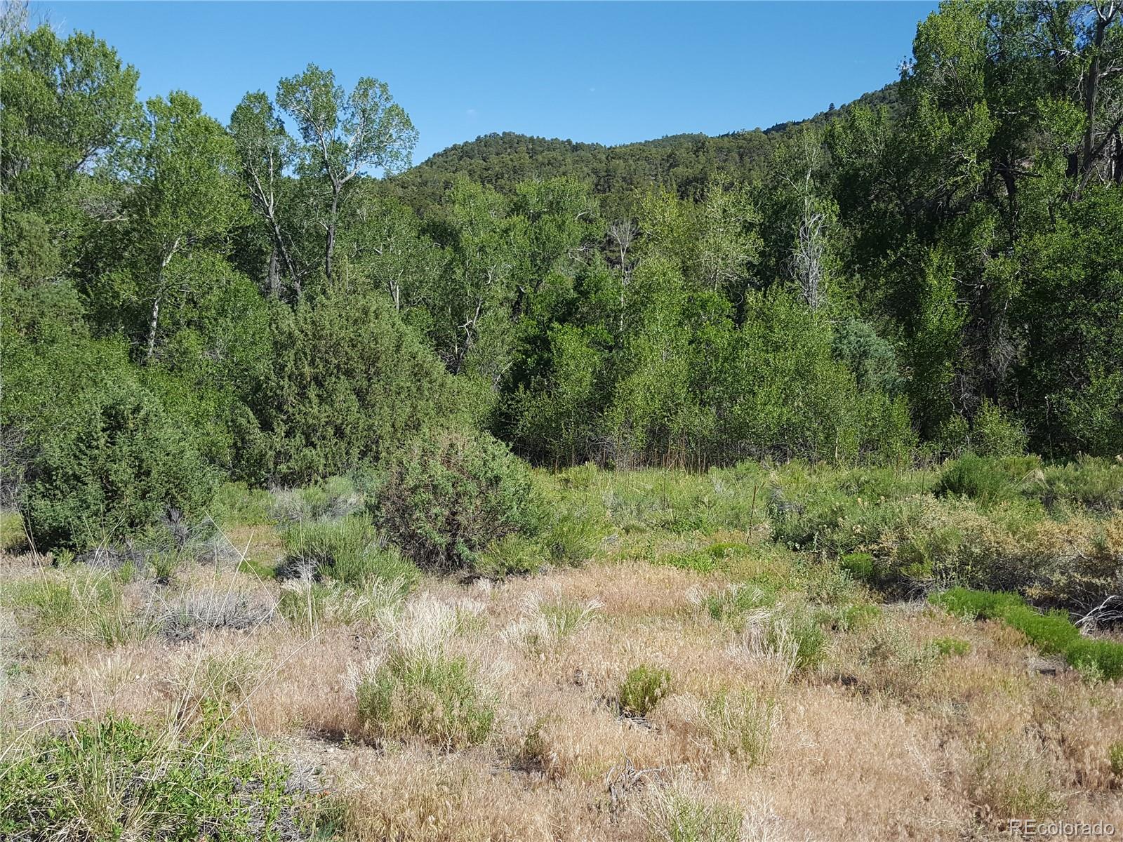 0 Knotty Pine Road Howard, CO 81233 - Photo 7 of 35 Gallery Image 7