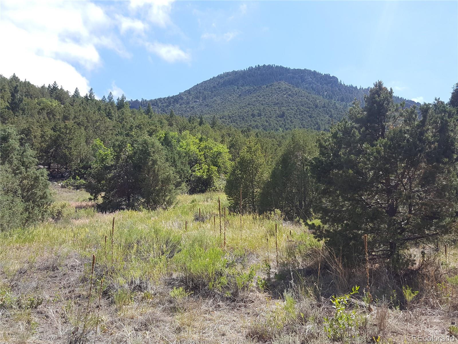 0 Knotty Pine Road Howard, CO 81233 - Photo 10 of 35 Gallery Image 10