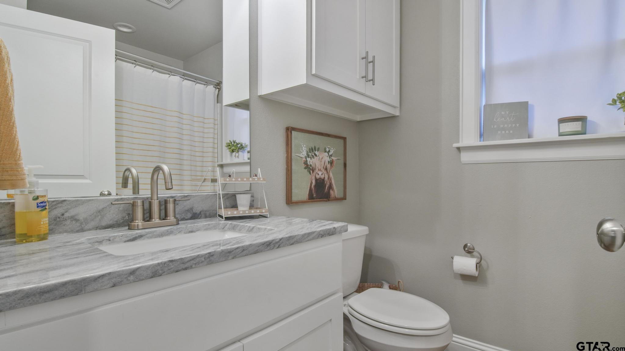 14144 Foxtail Drive Flint, TX 75762 - Photo 21 of 39 a bathroom with a granite countertop toilet sink and mirror