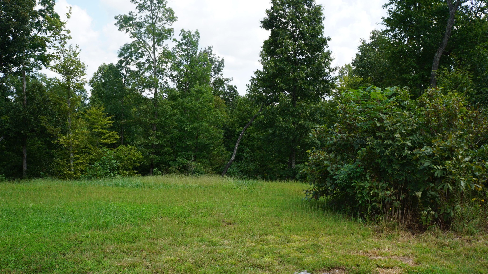 574 Old Ridge Road Sparta, TN 38583 - Photo 7 of 27 Gallery Image 7