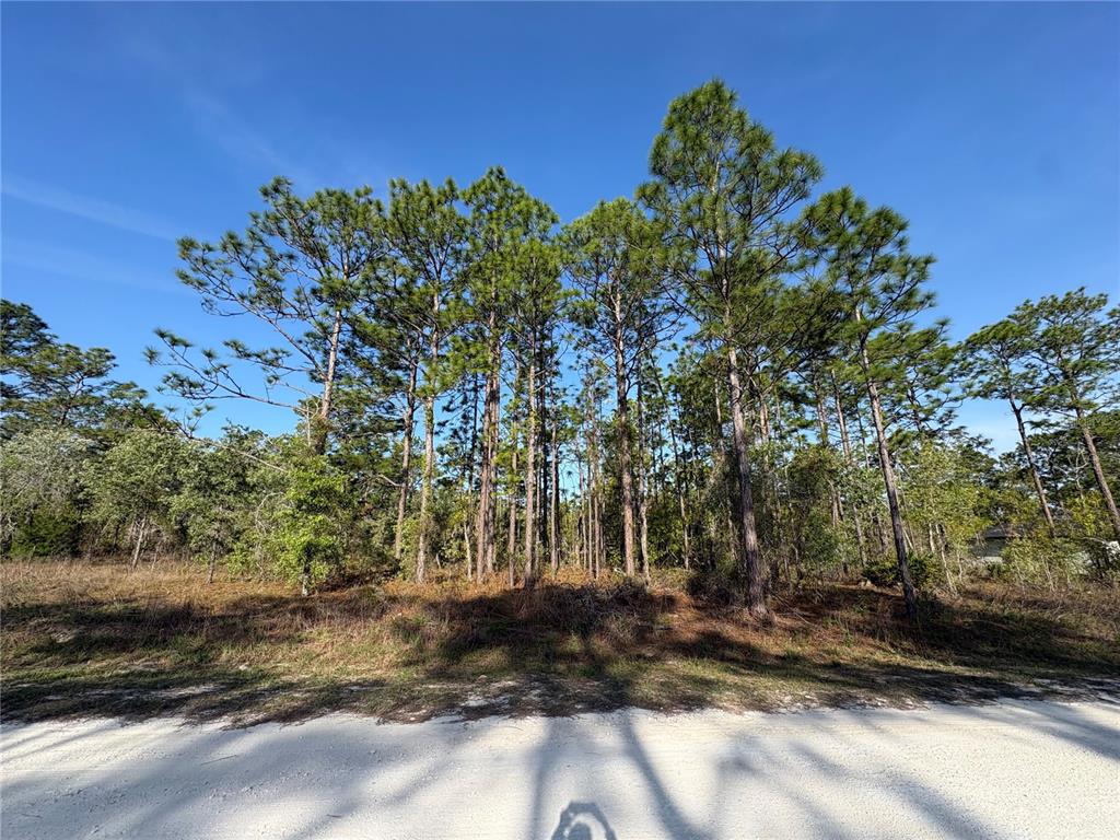 0 Penn State Road Weeki Wachee, FL 34614 - Photo 3 of 4