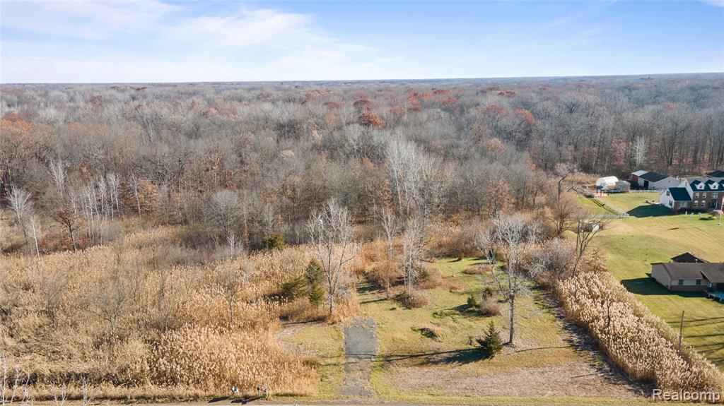 23901 Sumpter Road Belleville, MI 48111 - Photo 9 of 15