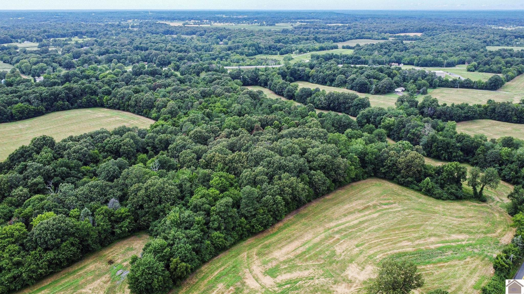 0 Slickback Road Benton, KY 42025 - Photo 1 of 1 Photo 1