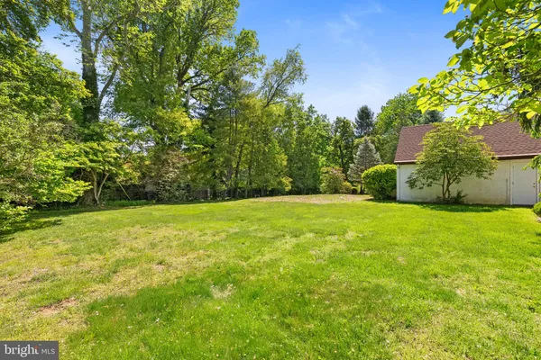 a view of a yard with a tree