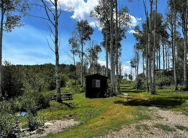 a view of a park with large trees