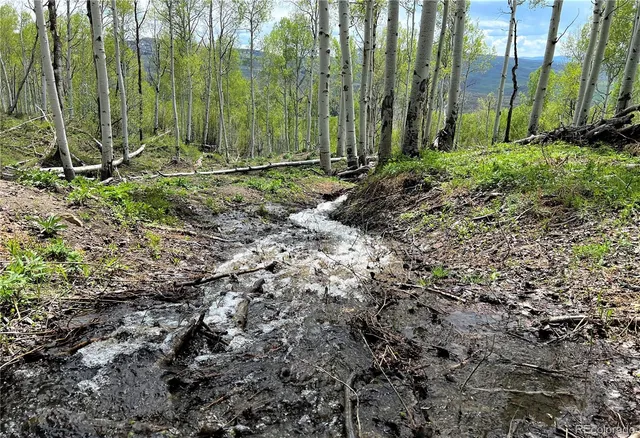 a green field with trees in the background