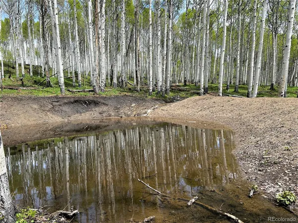 a view of a garden with a fountain