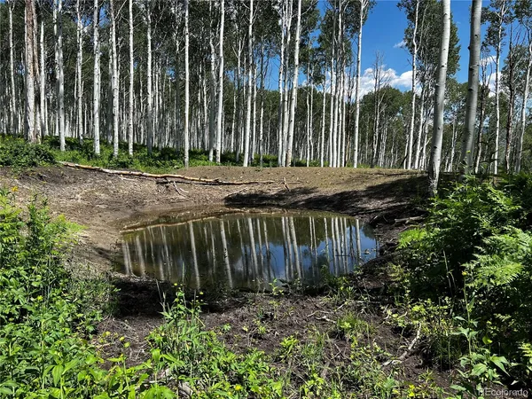 $350,000 | 51255 Big Aspen Drive, Hayden, CO 81639