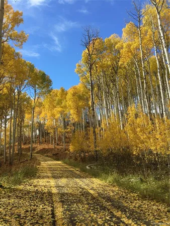 $350,000 | 51255 Big Aspen Drive, Hayden, CO 81639