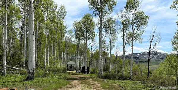 a backyard of apartments with large trees