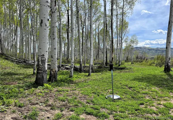 a view of a back yard