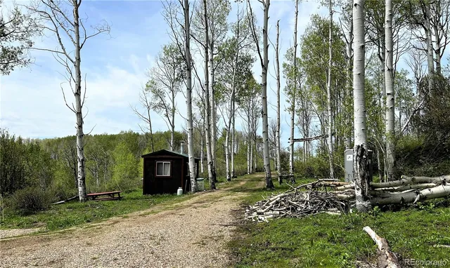 a view of a backyard with potted plants