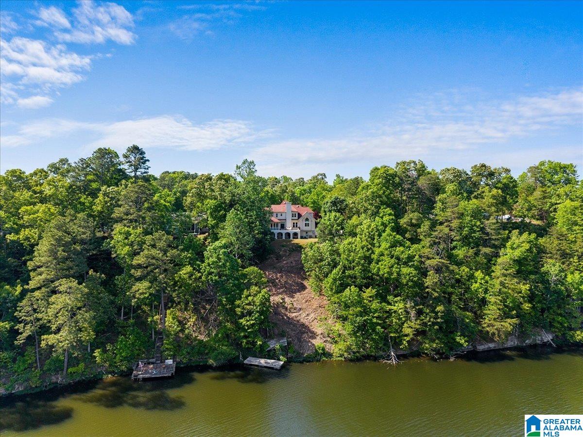 241 Lakeshore Loop Oneonta, AL 35121 - Photo 50 of 52