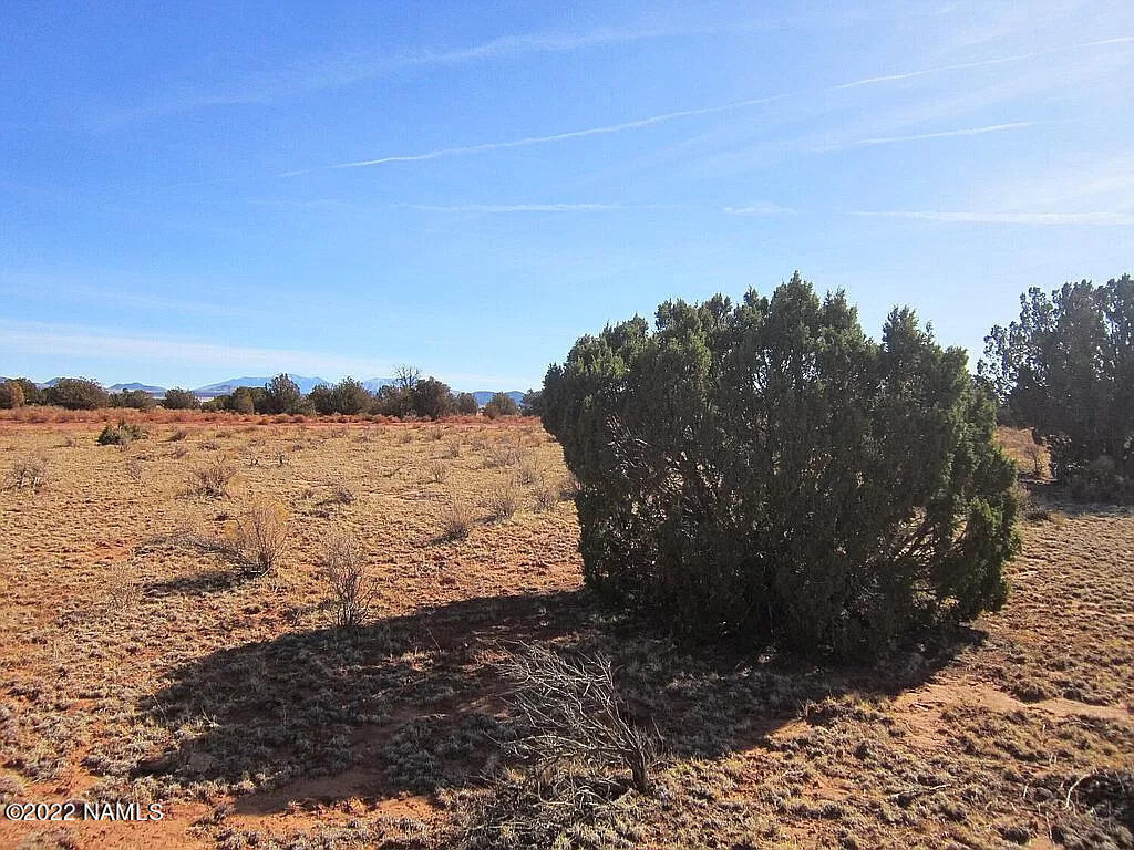 3542 Carmen Road, Unit 417 Williams, AZ 86046 - Photo 3 of 4 View-Carmen-Rd
