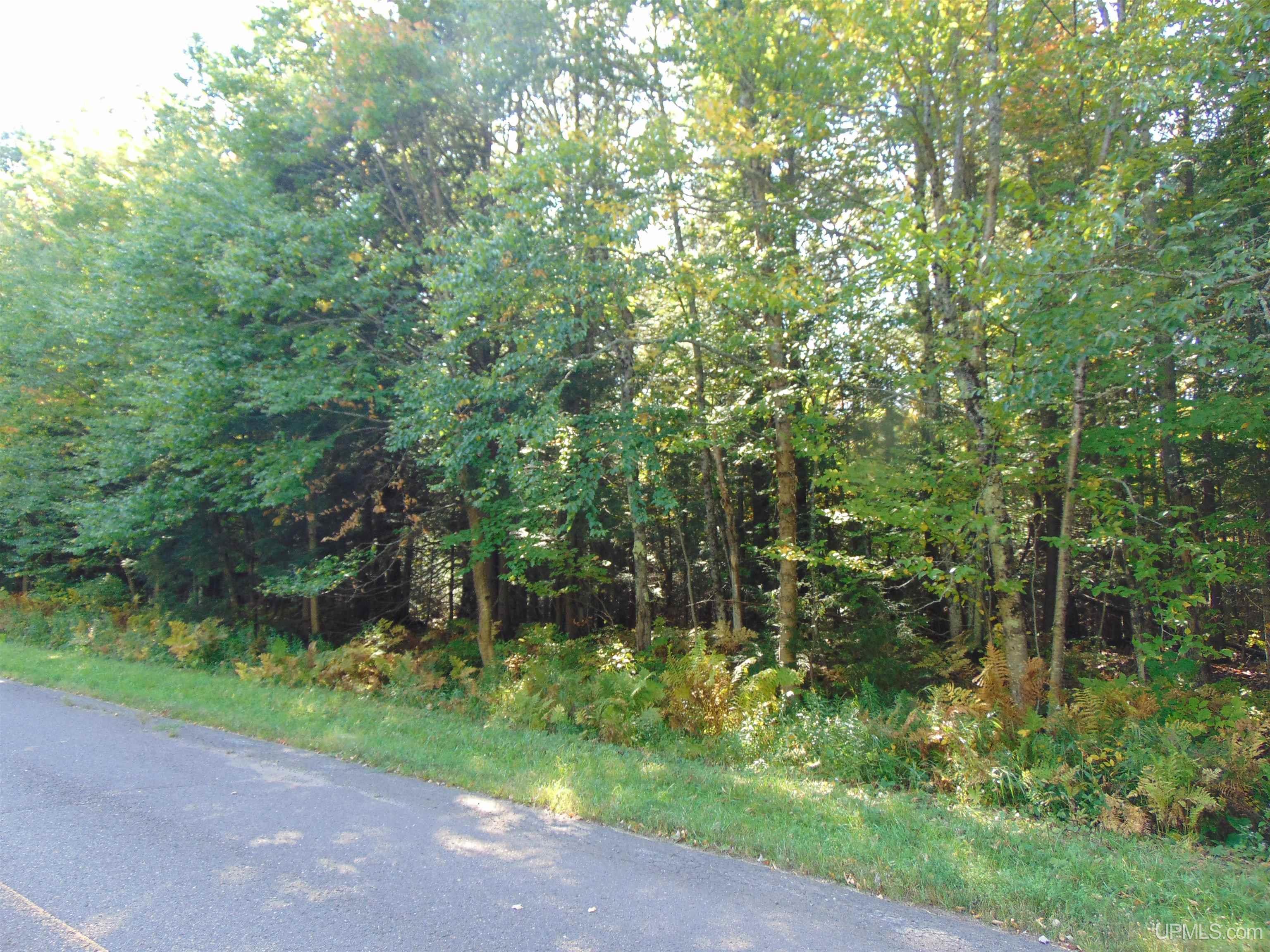 1 Moore Road Bessemer, MI 49911 - Photo 36 of 36