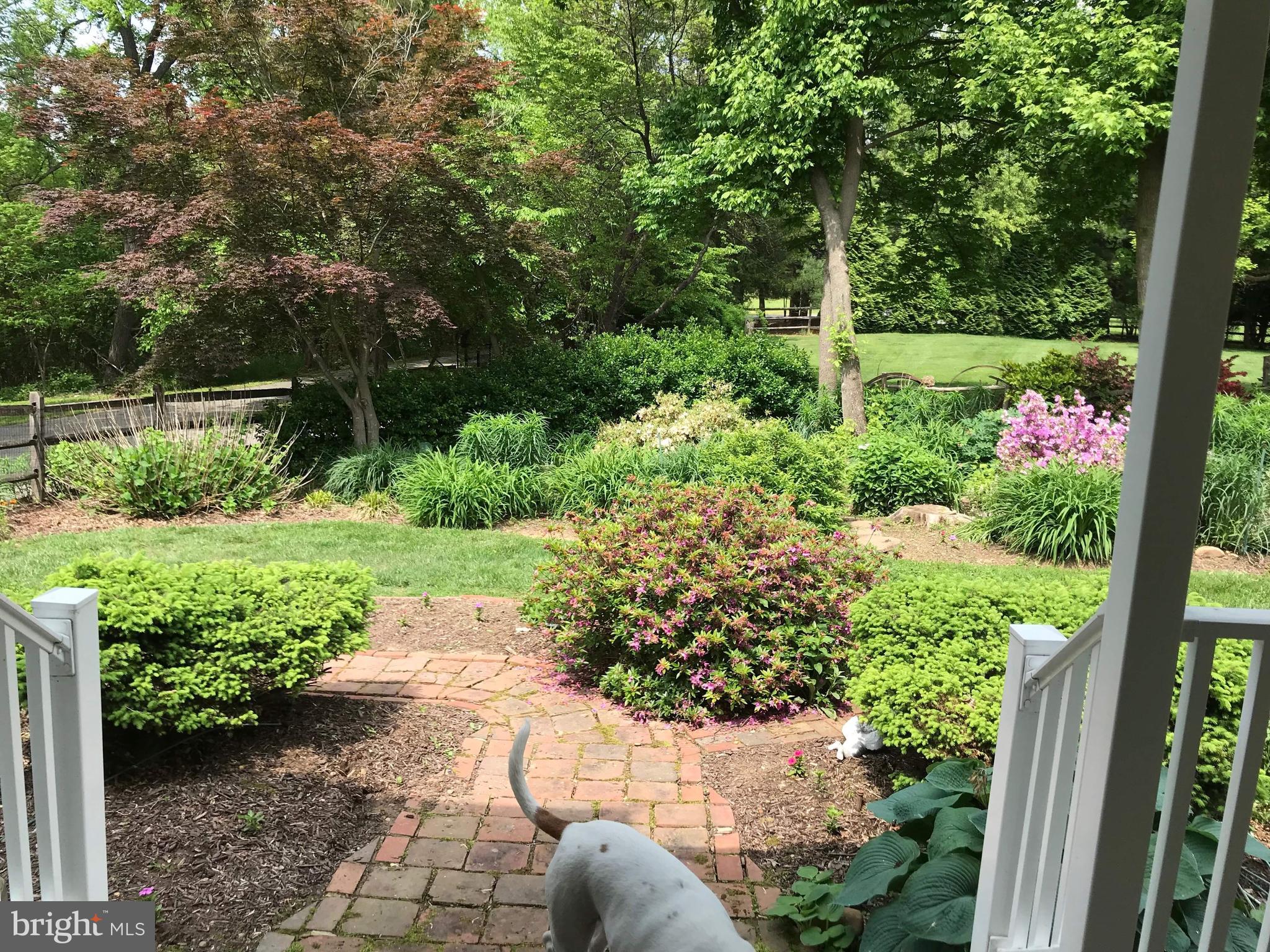 1339 John Brown Farm Road Harpers Ferry, WV 25425 - Photo 11 of 55 View from front door out. With a glimpse of daisy