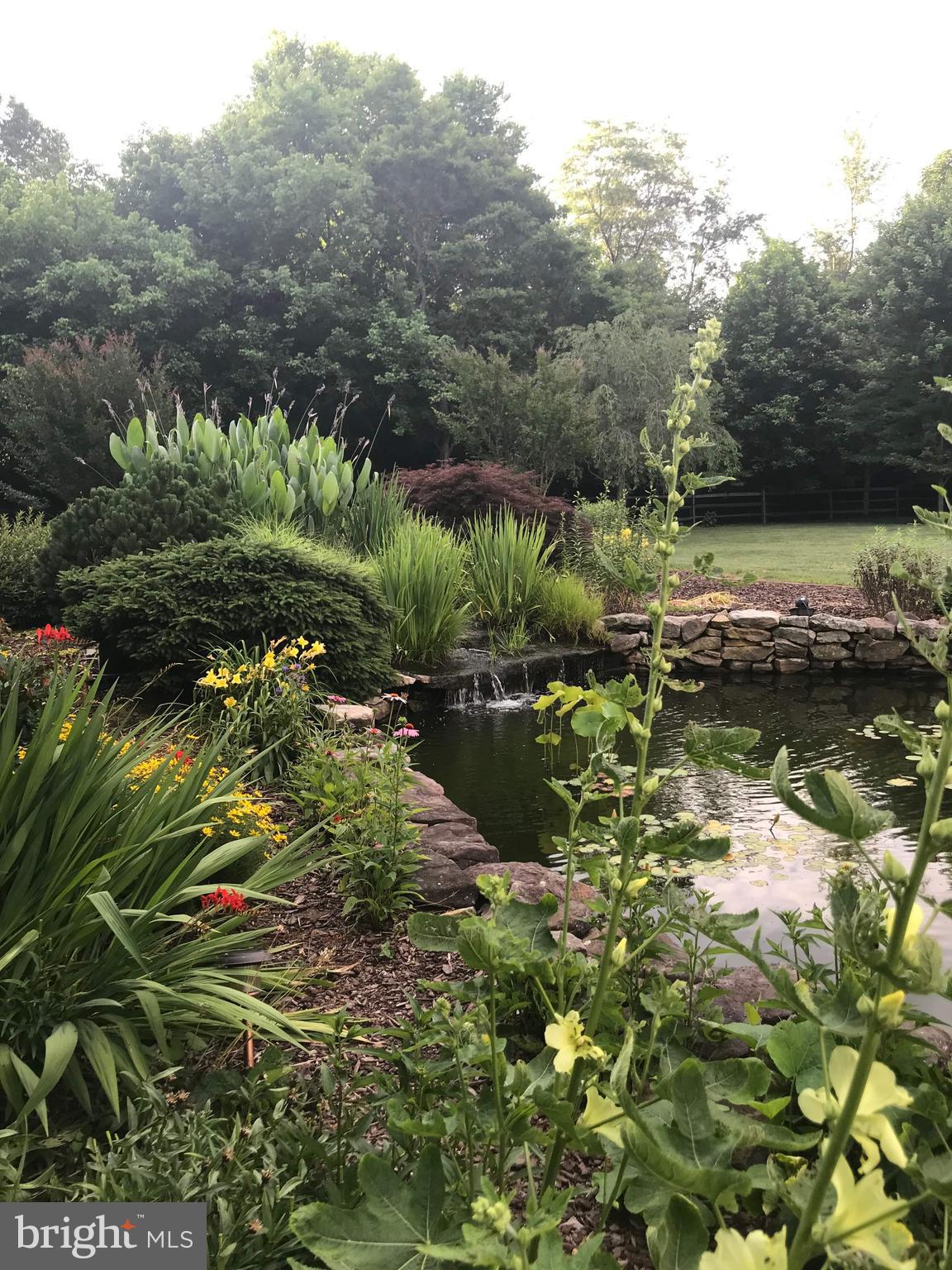 1339 John Brown Farm Road Harpers Ferry, WV 25425 - Photo 16 of 55 Pond and garden