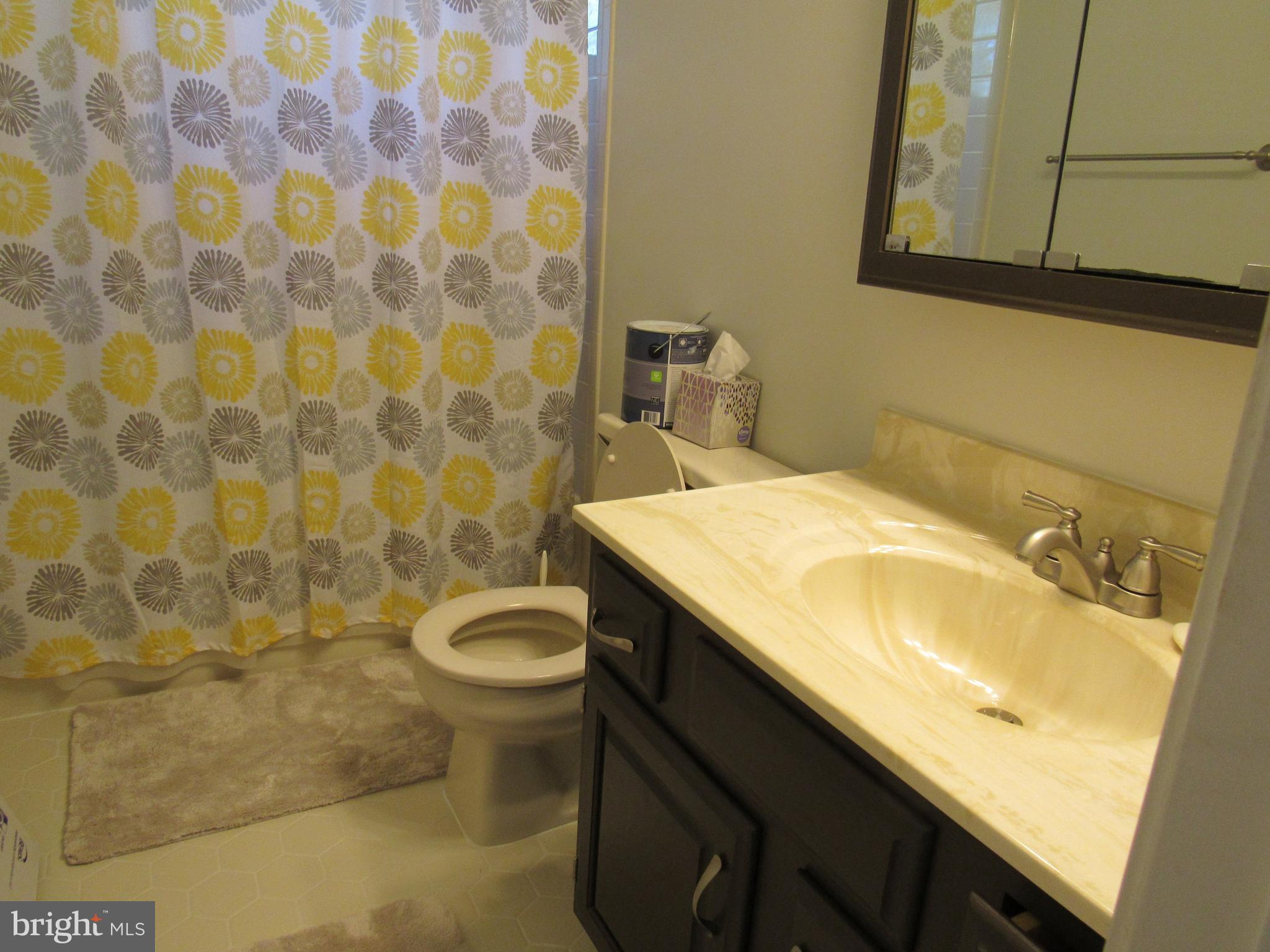 1339 John Brown Farm Road Harpers Ferry, WV 25425 - Photo 34 of 55 Upstairs Shared Bathroom