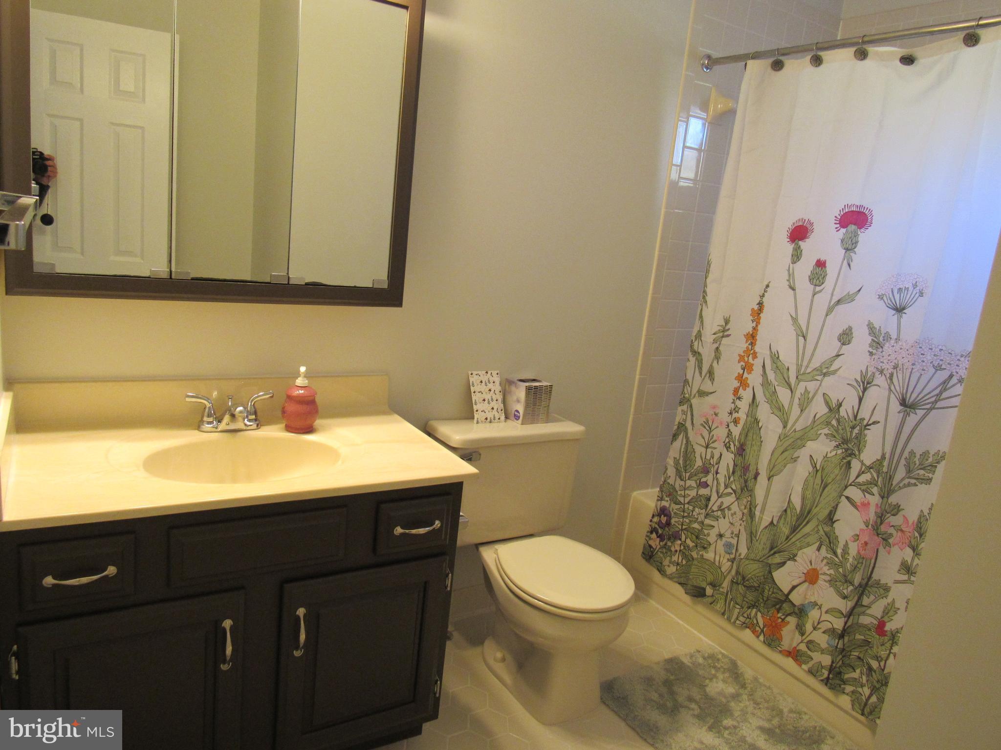 1339 John Brown Farm Road Harpers Ferry, WV 25425 - Photo 39 of 55 Master Bath
