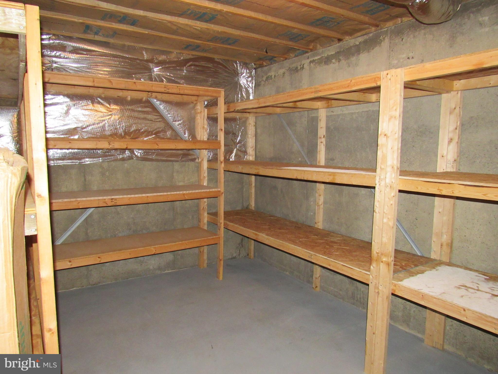 1339 John Brown Farm Road Harpers Ferry, WV 25425 - Photo 44 of 55 Storage area located in the basement