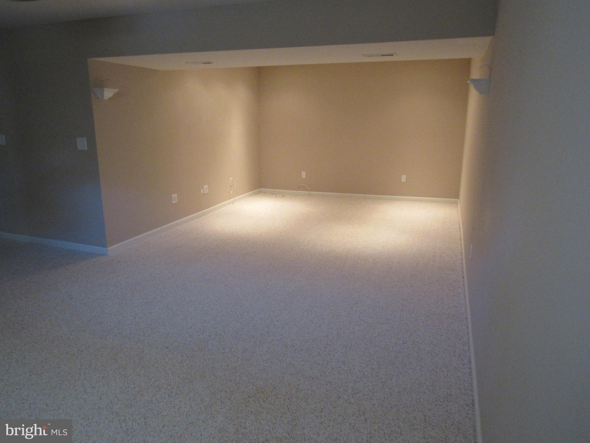1339 John Brown Farm Road Harpers Ferry, WV 25425 - Photo 52 of 55 Basement Rec Room