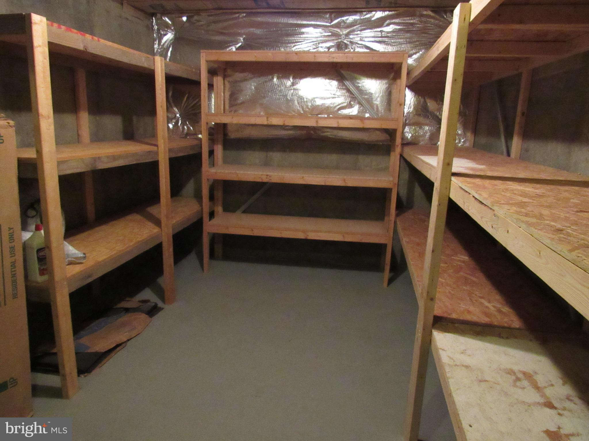 1339 John Brown Farm Road Harpers Ferry, WV 25425 - Photo 54 of 55 Storage area located in the basement