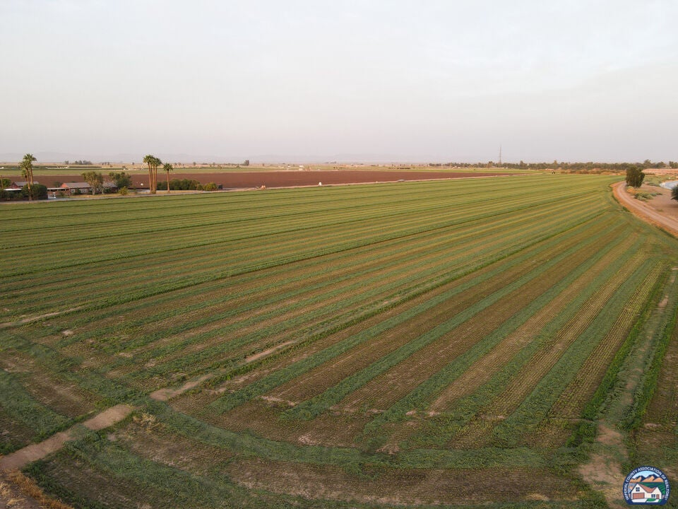 0 Hovley Road Brawley, CA 92227 - Photo 1 of 1 Gallery Image 1