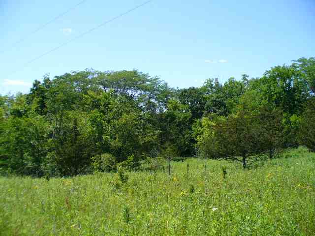 Tbd North Blackjack Road Galena, IL 61036 - Photo 1 of 4 Gallery Image 1