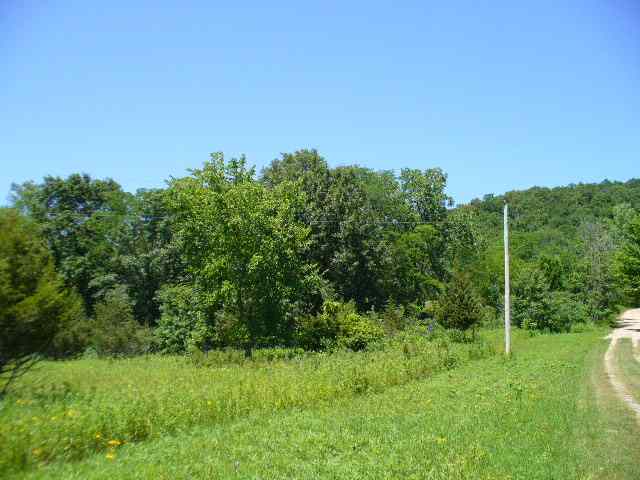 Tbd North Blackjack Road Galena, IL 61036 - Photo 2 of 4 Gallery Image 2