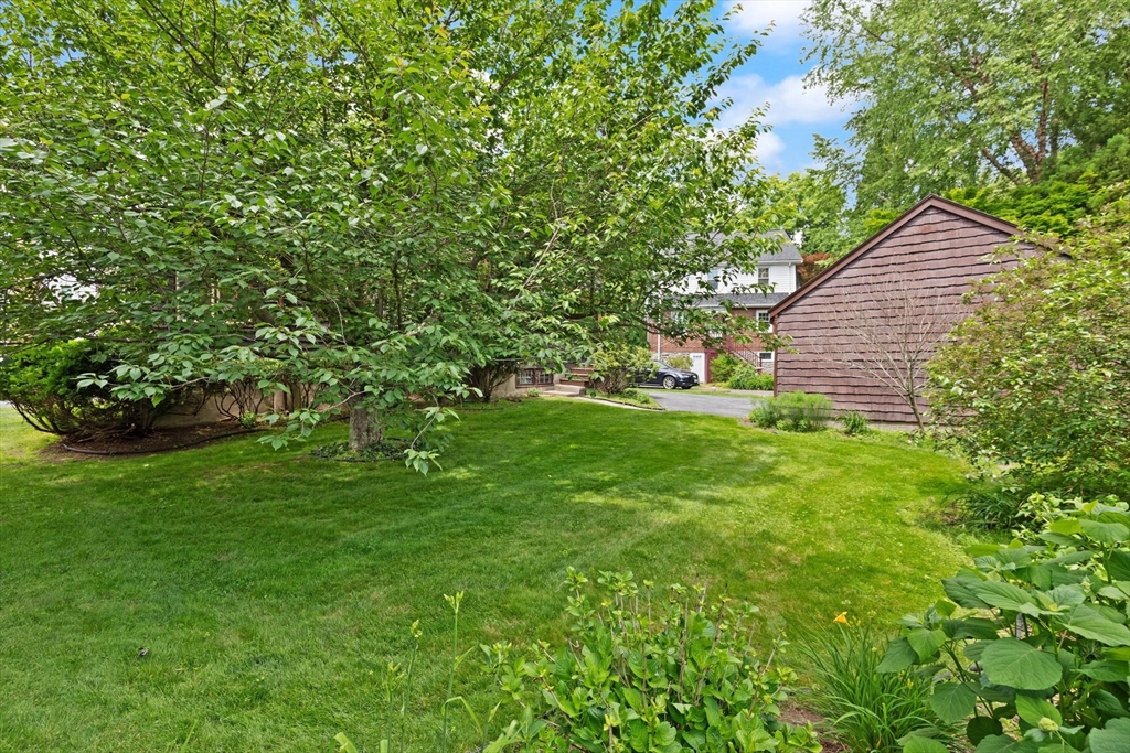 9 Mayfield Road Belmont, MA 02478 - Photo 37 of 42