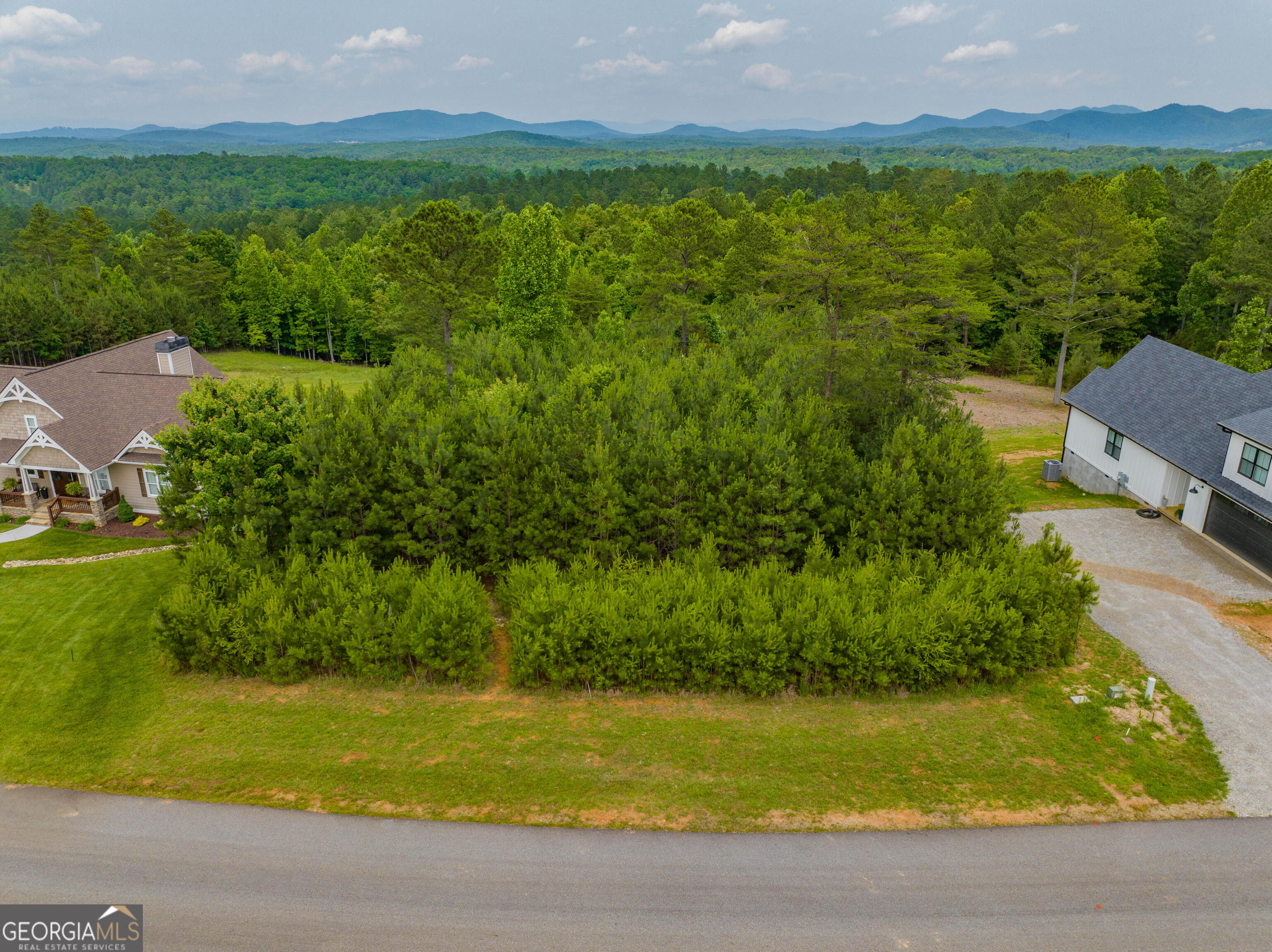 1146 Ridge Pointe Way Blairsville, GA 30512 - Photo 1 of 12 a view of a lake with a city view