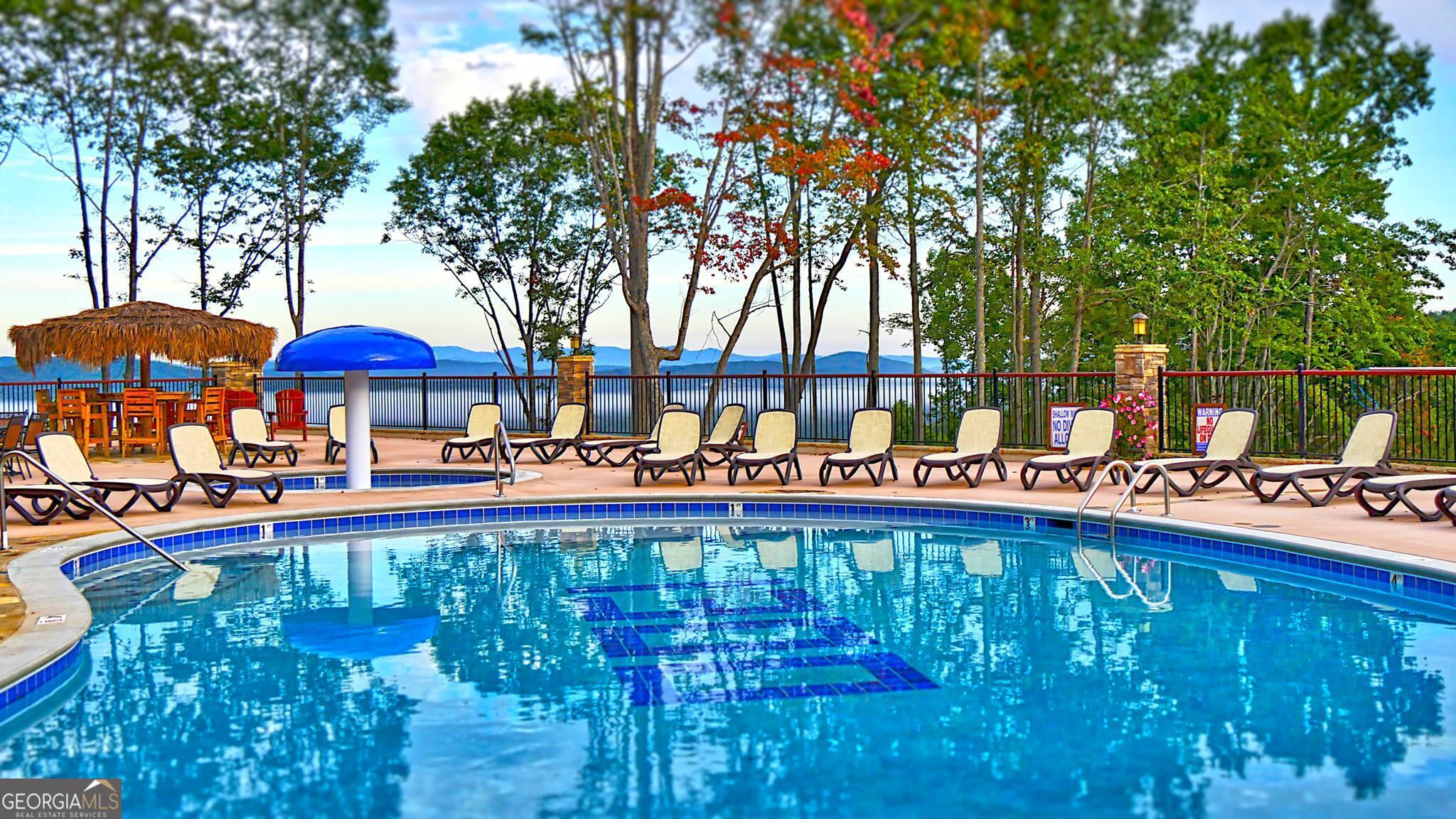 1146 Ridge Pointe Way Blairsville, GA 30512 - Photo 12 of 12 a view of swimming pool with outdoor seating